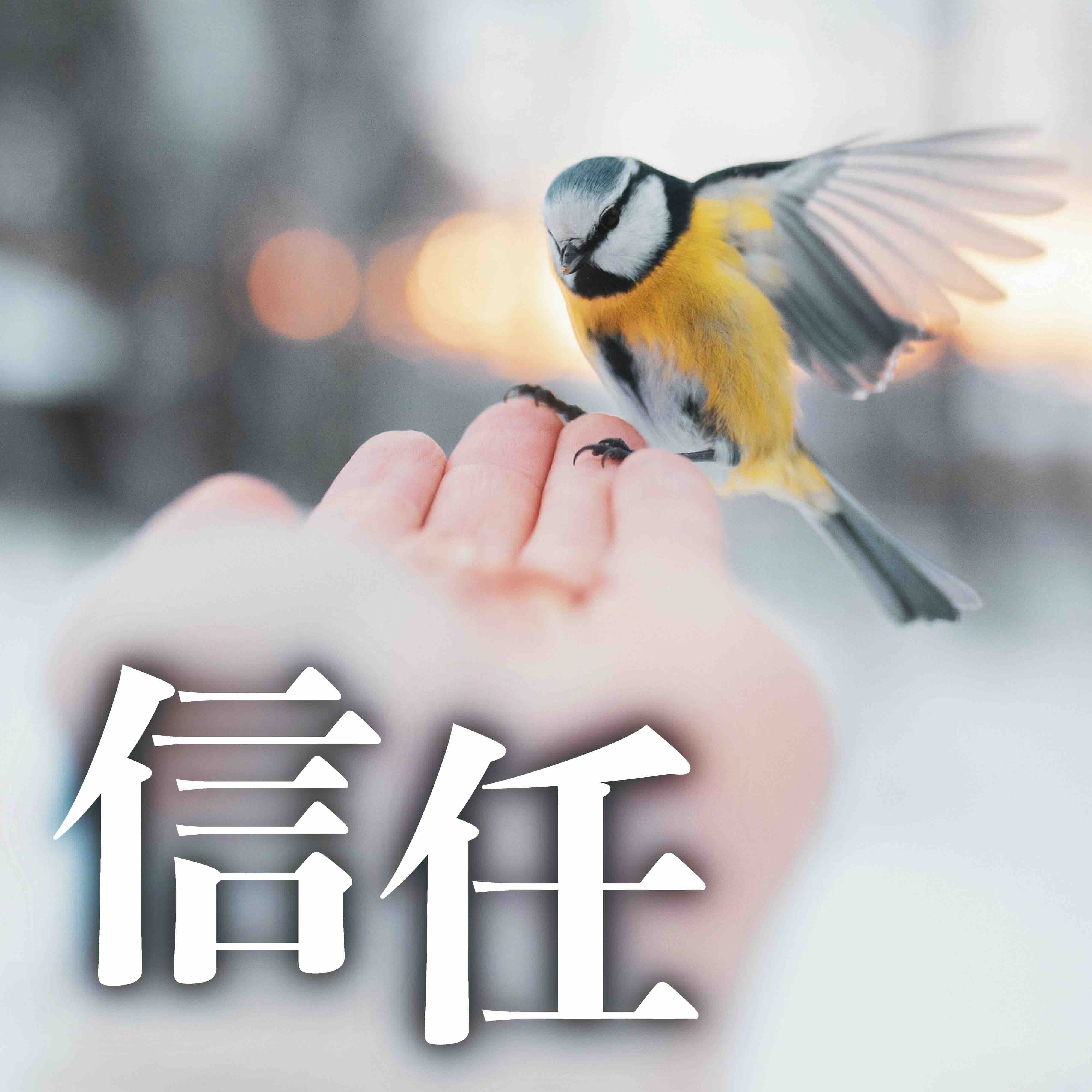信任